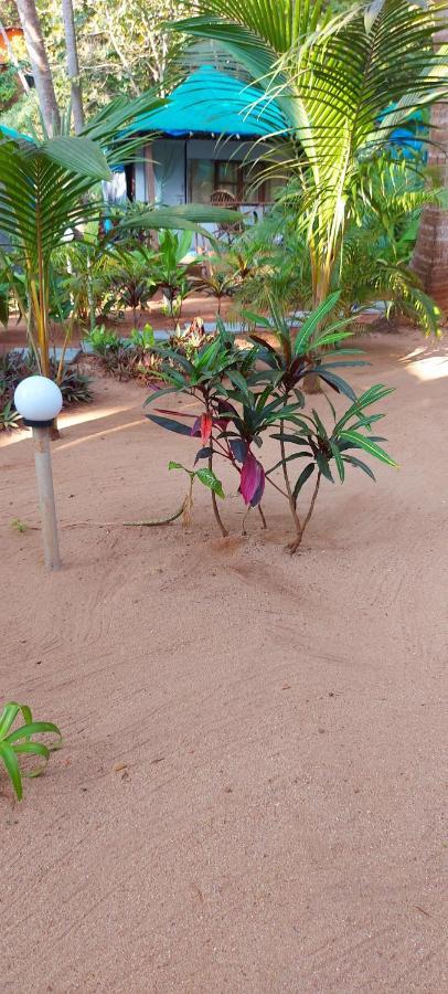 Arabian Nights * Agonda